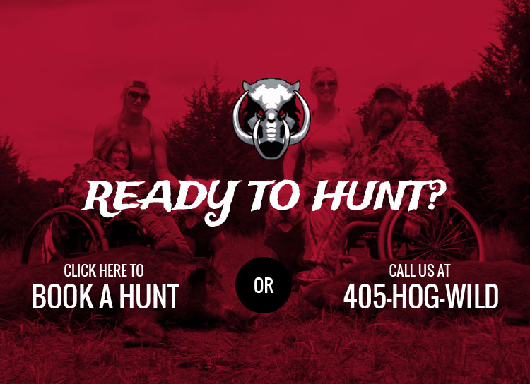 Book your hunt now