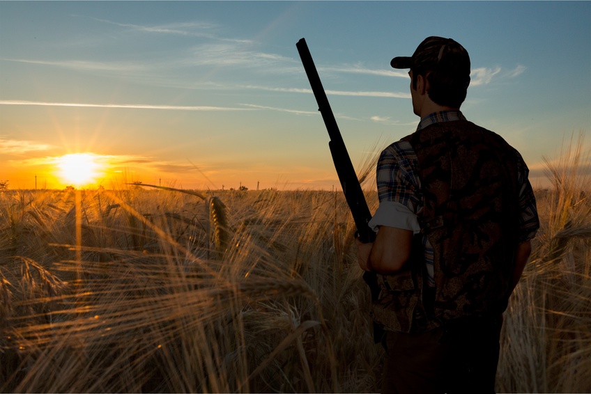 semi-guided hunting expeditions