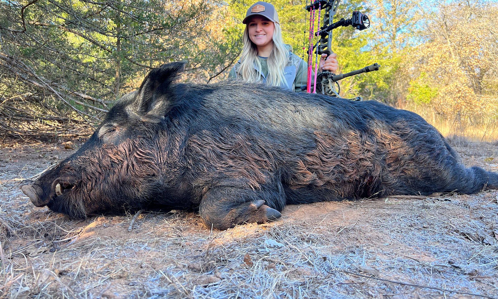 Hog Wild — photo 2