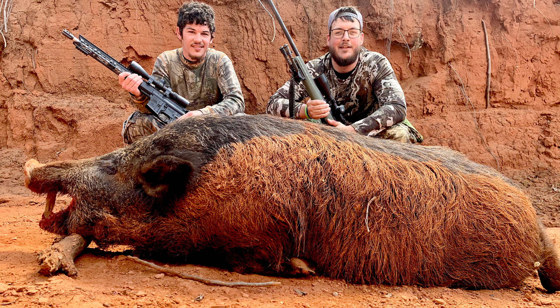 Hog Wild — photo 3